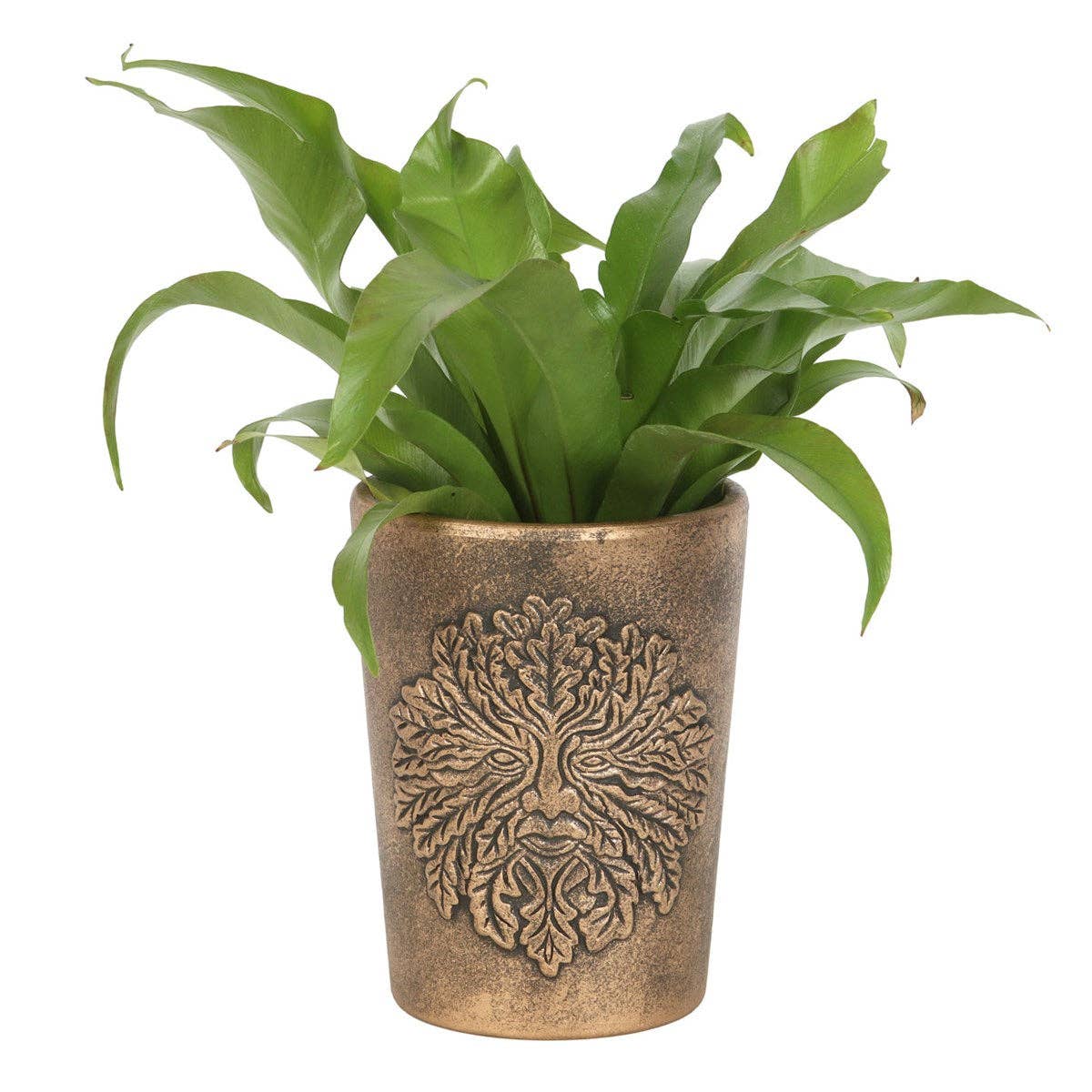 Green Man Bronze Terracotta Plant Pot by Lisa Parker - Spiral Circle