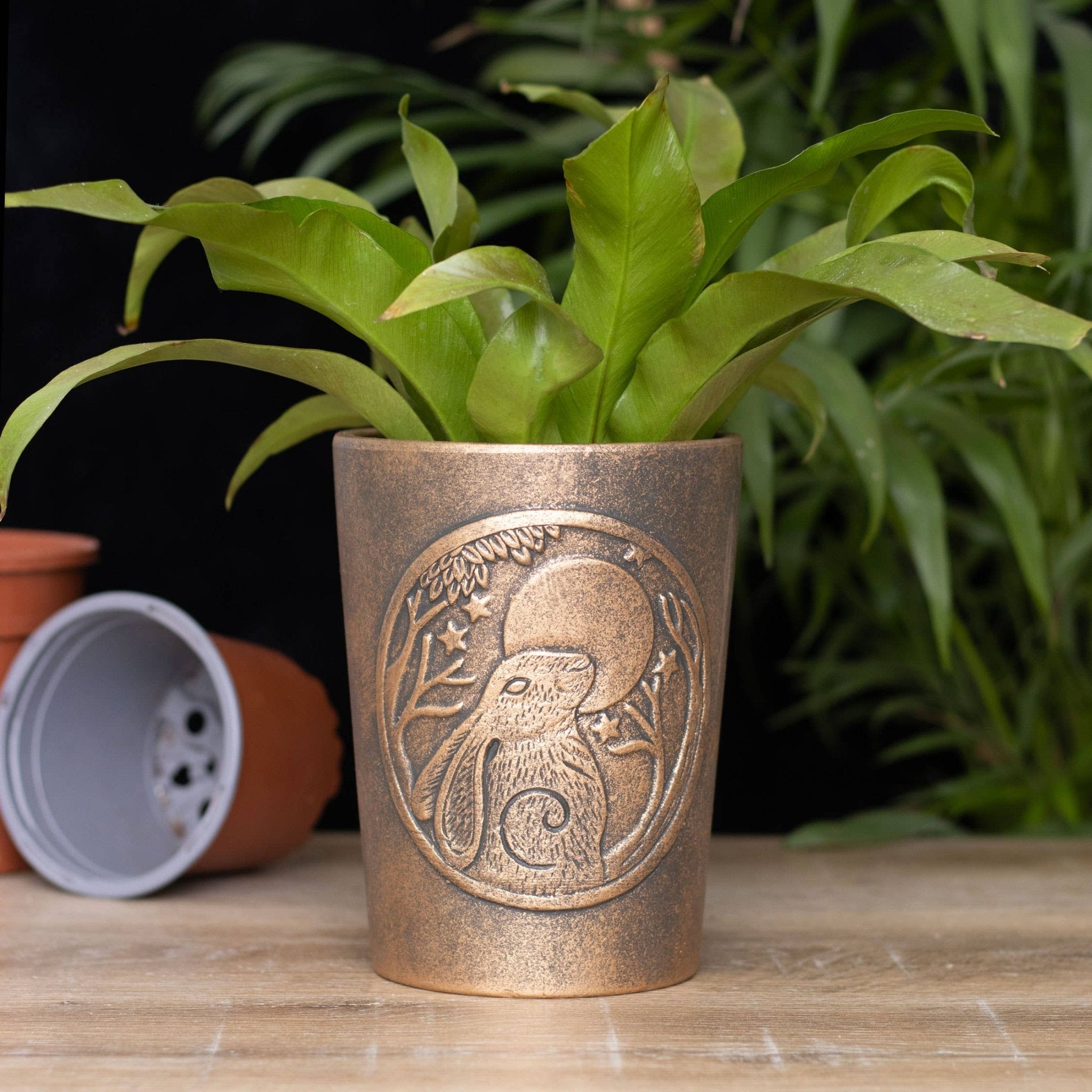 Moon Gazing Hare Bronze Terracotta Plant Pot by Lisa Parker - Spiral Circle