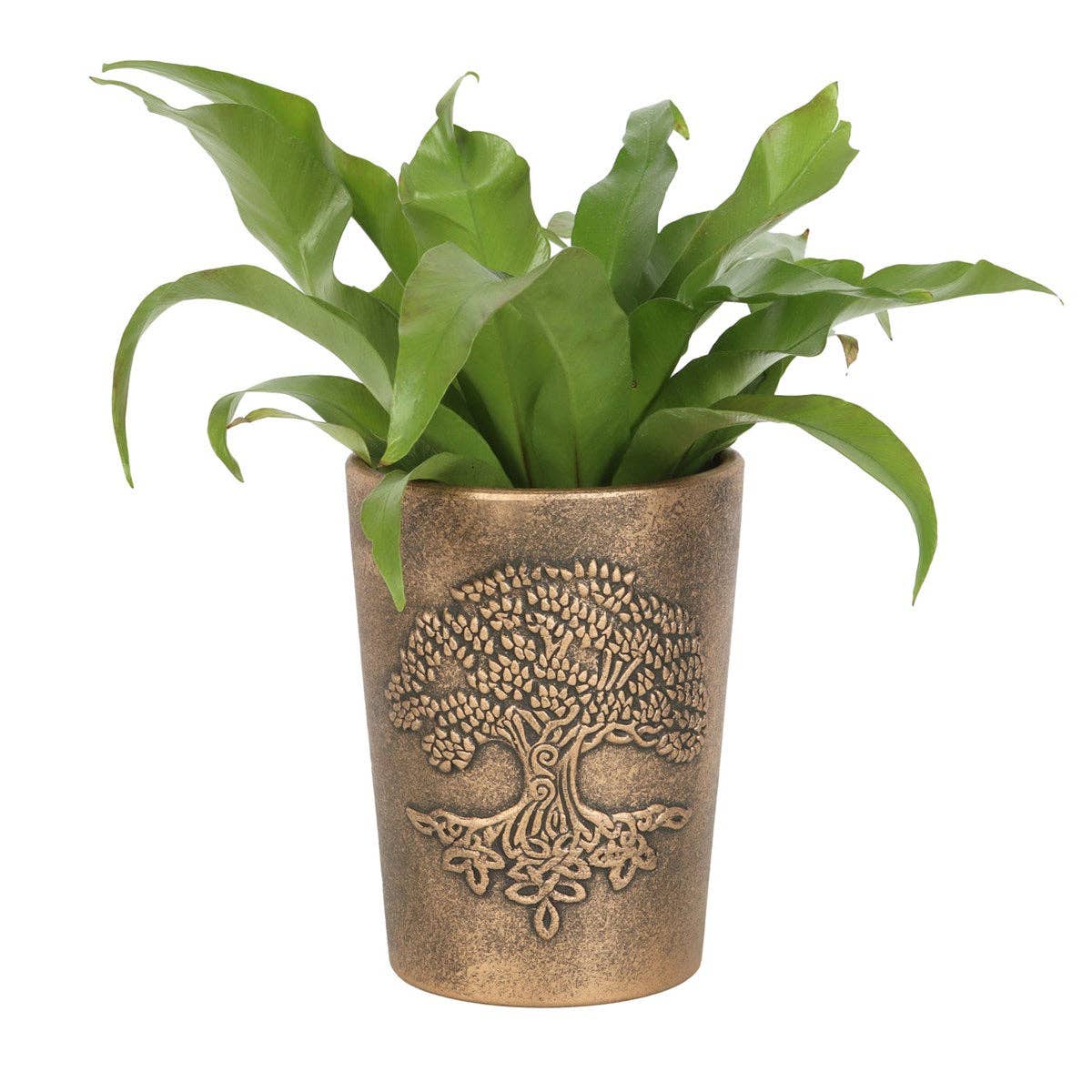 Tree of Life Bronze Terracotta Plant Pot by Lisa Parker - Spiral Circle