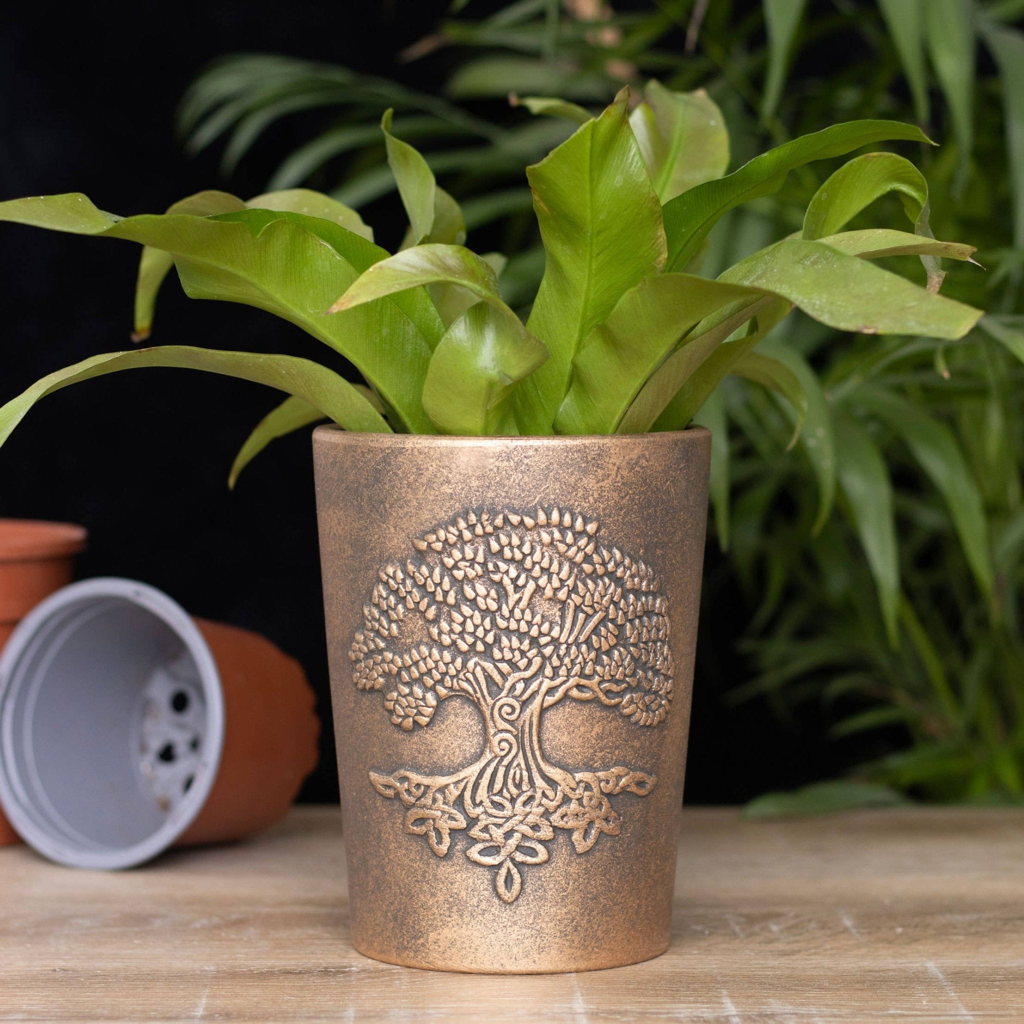 Tree of Life Bronze Terracotta Plant Pot by Lisa Parker - Spiral Circle