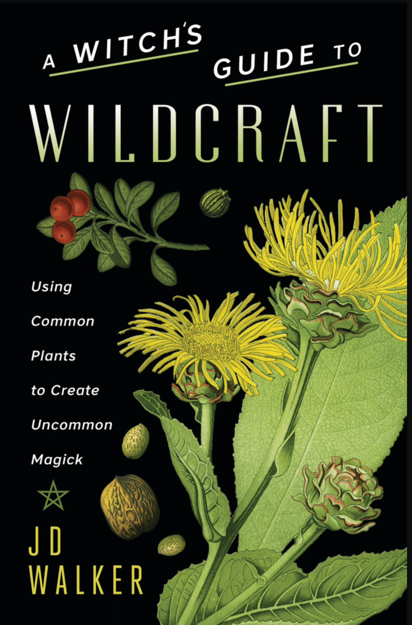 A Witch's Guide to Wildcraft | Using Common Plants to Create uncommon Magic - Spiral Circle