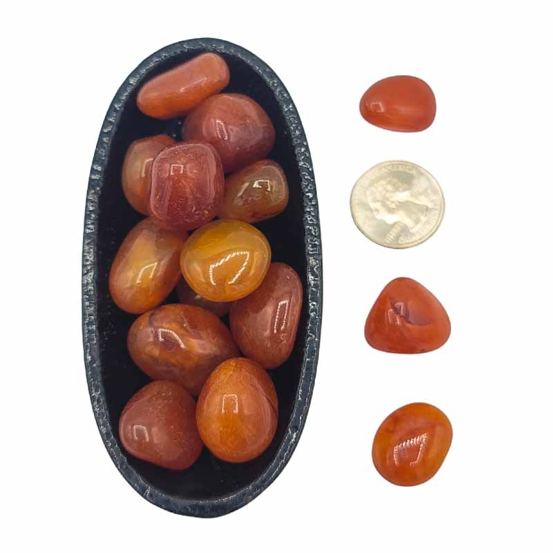 Carnelian Tumbled | Courage and Cleansing | Small - Spiral Circle