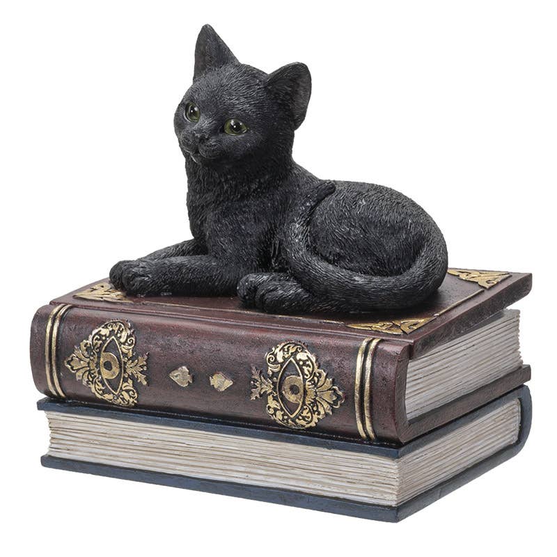 14700 Black Cat on Book Box - Spiral Circle