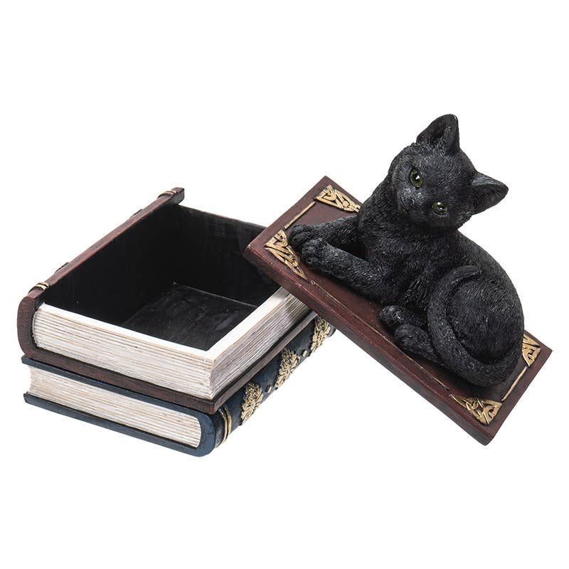14700 Black Cat on Book Box - Spiral Circle