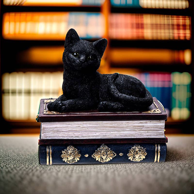 14700 Black Cat on Book Box - Spiral Circle