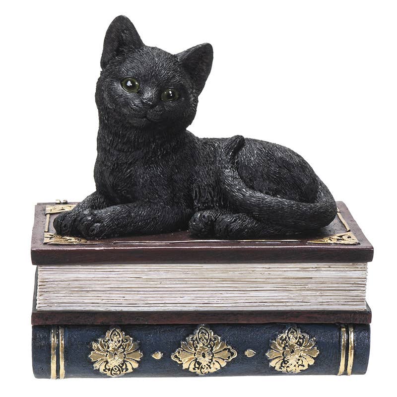 14700 Black Cat on Book Box - Spiral Circle