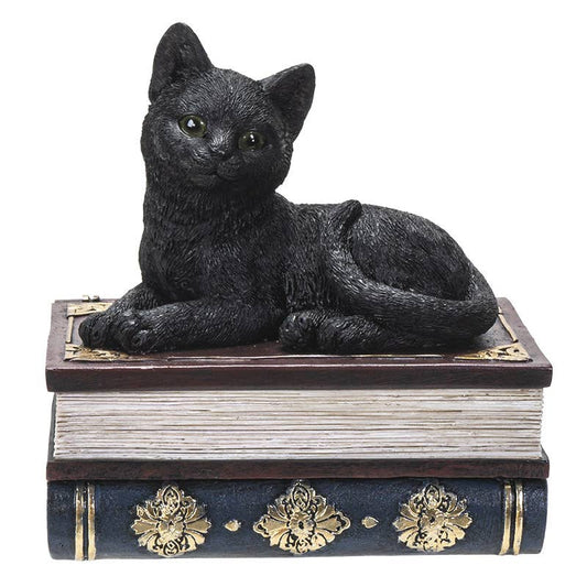 14700 Black Cat on Book Box - Spiral Circle