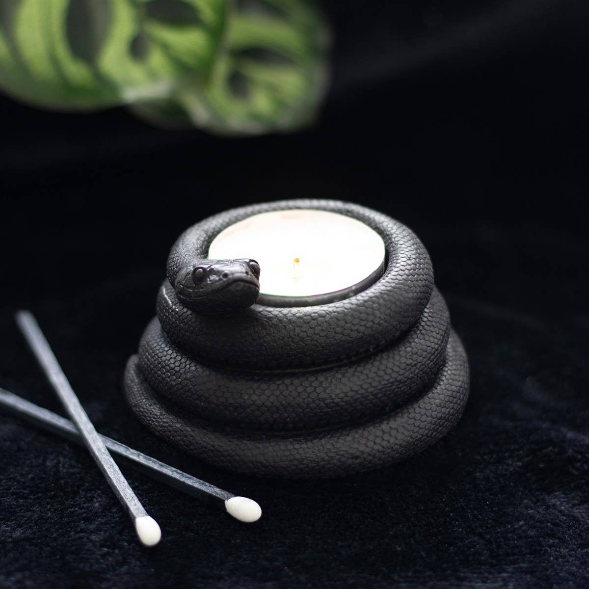 15823 Black Snake Tealight Candle Holder - Spiral Circle