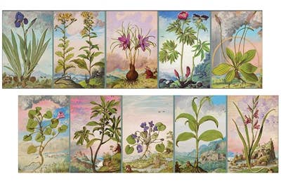 16th Century Watercolor X-Large Matchbox
