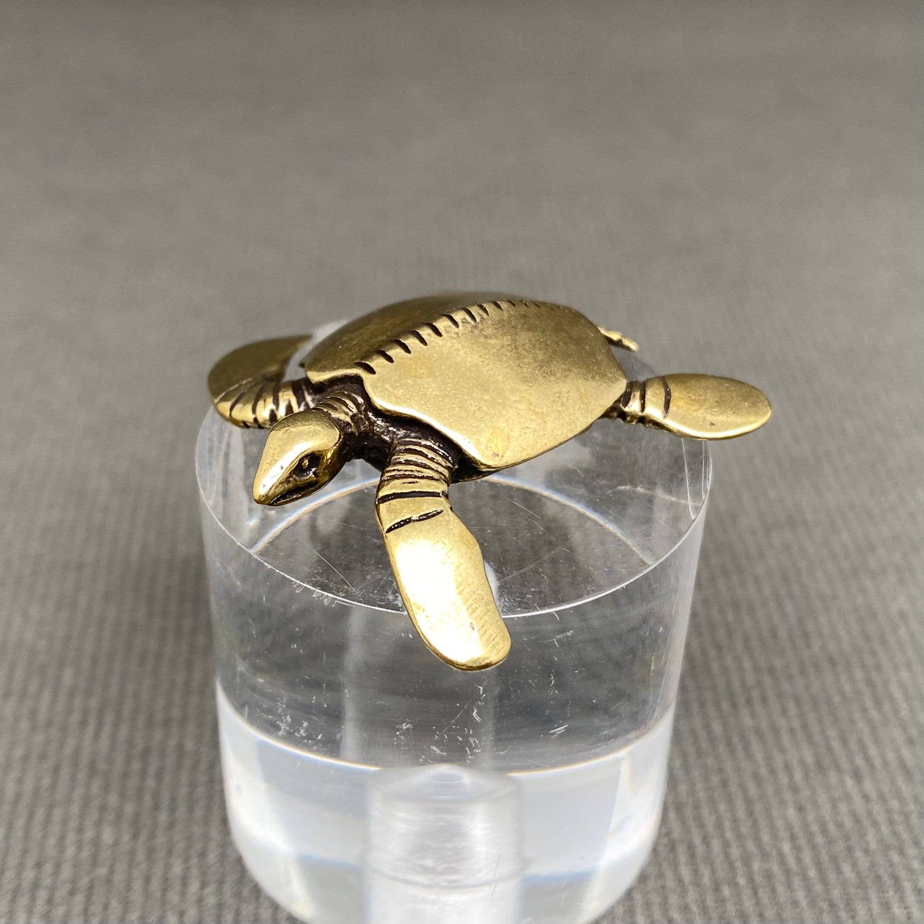 Brass Sea Turtle| Brass Figurine