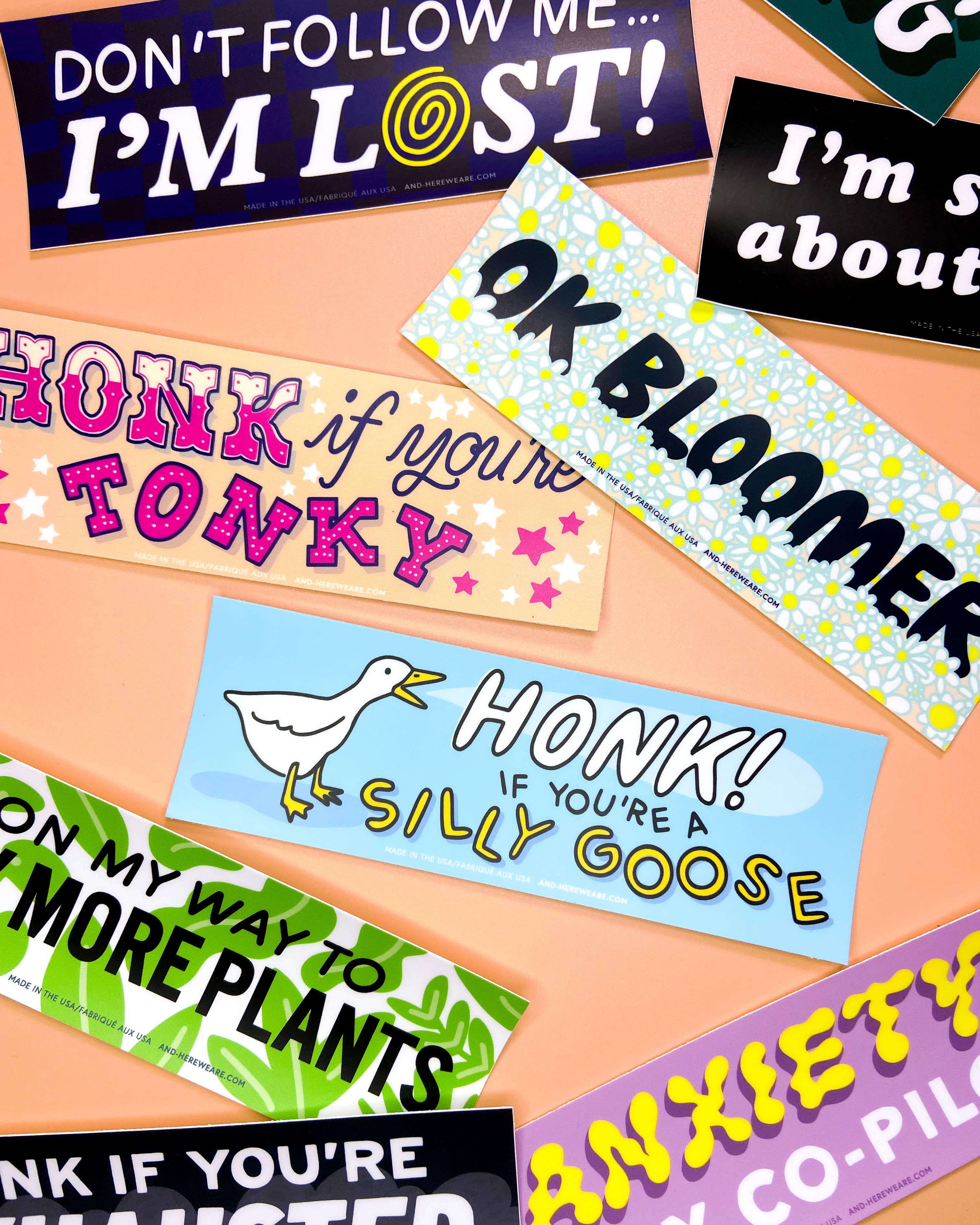 Vinyl Bumper Sticker—Honk if You're a Silly Goose
