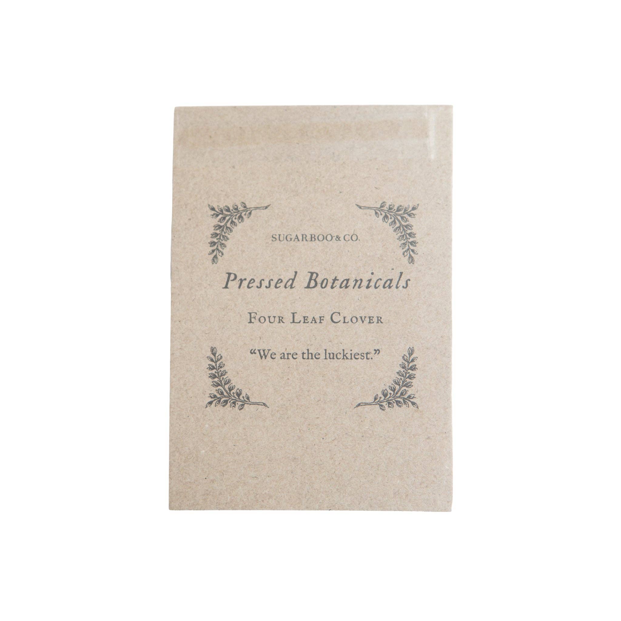Pressed Four Leaf Clovers | Set of 2