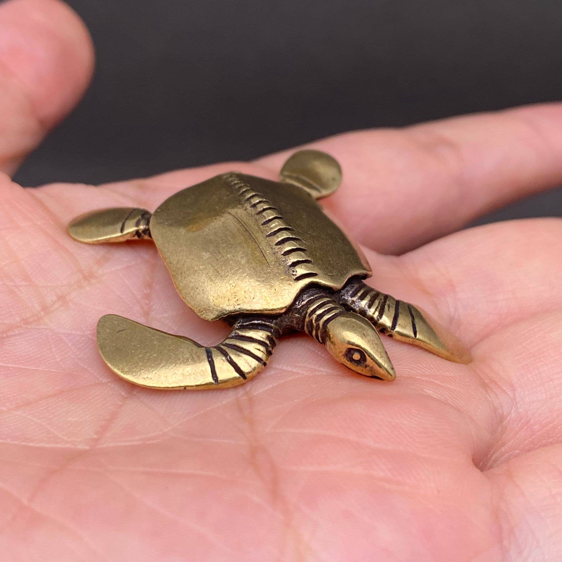 Brass Sea Turtle| Brass Figurine