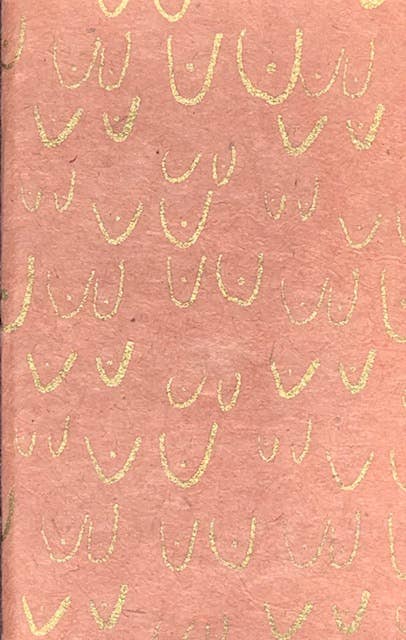 5x8 Boobs jnrl - Spiral Circle