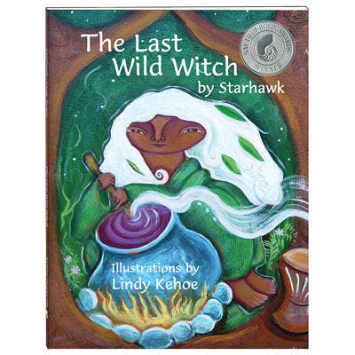 The Last Wild Witch