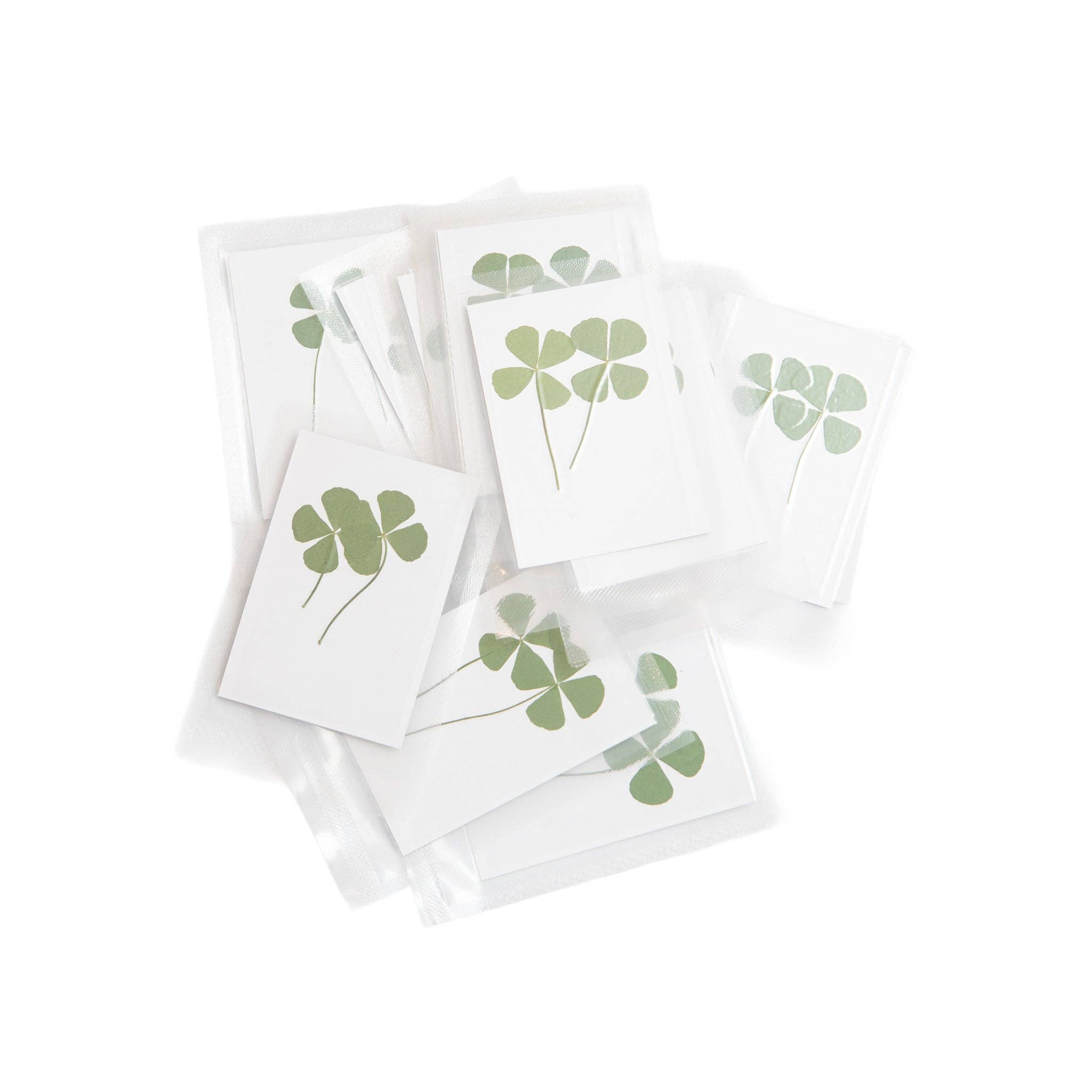 Pressed Four Leaf Clovers | Set of 2