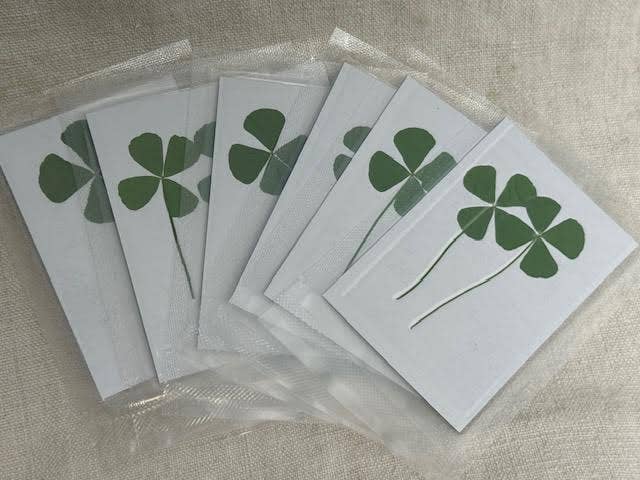 Pressed Four Leaf Clovers | Set of 2