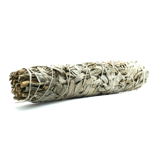 9 inch White Sage Bundles (Large) from Farm in California - Spiral Circle