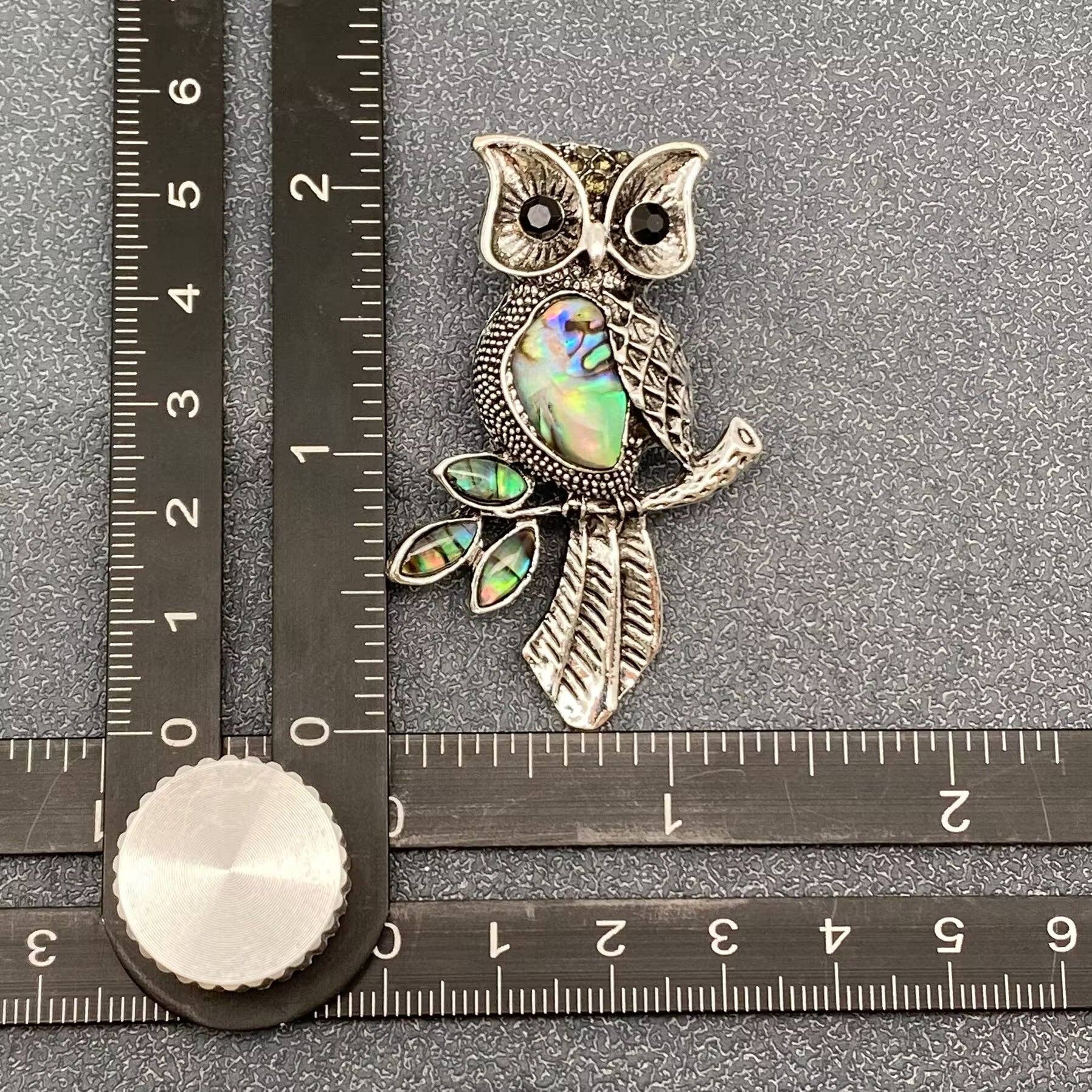Abalone Shell Silver Tone Owl Brooch - Spiral Circle