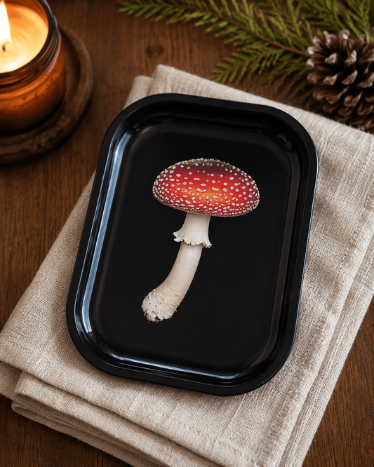 Amanita Mushroom Metal Tray - Spiral Circle