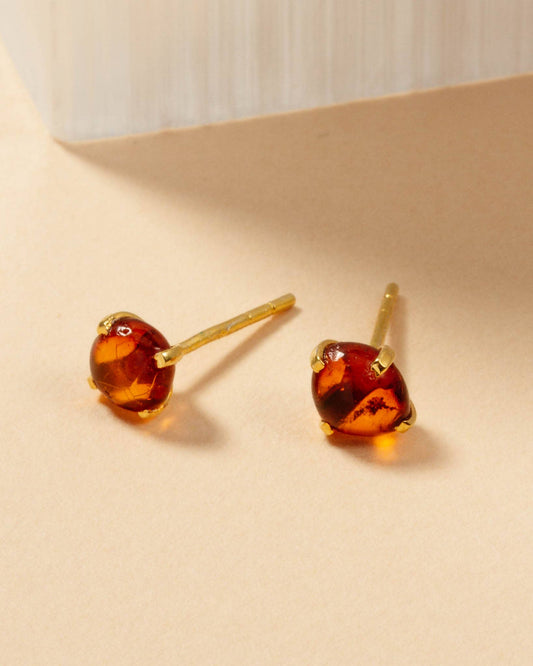 Amber Beauty Post Earrings | 14KT Gold Plated - Spiral Circle