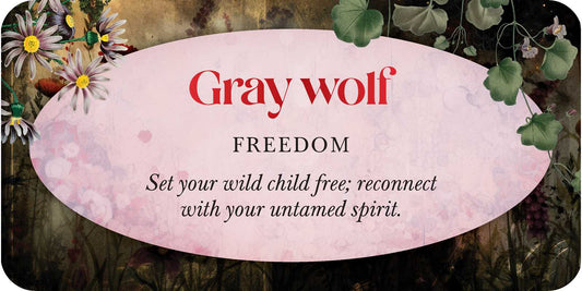 Animal Guides - Spiral Circle