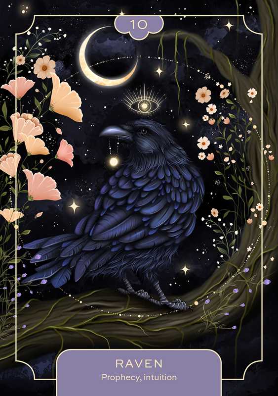 Animal Spirit Oracle by Lea Androic - Spiral Circle