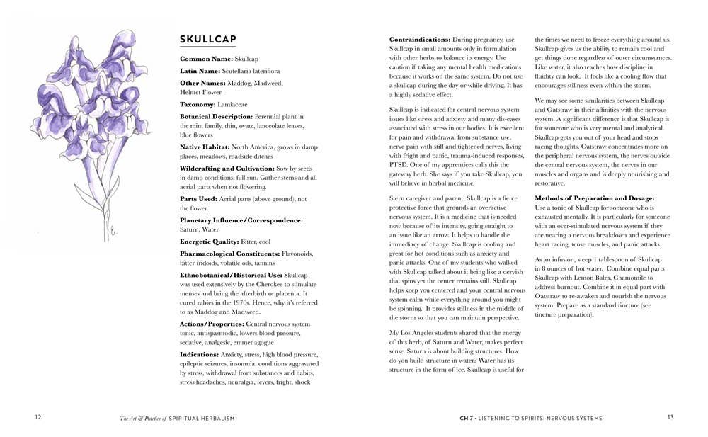 Art And Practice Of Spiritual Herbalism - Spiral Circle