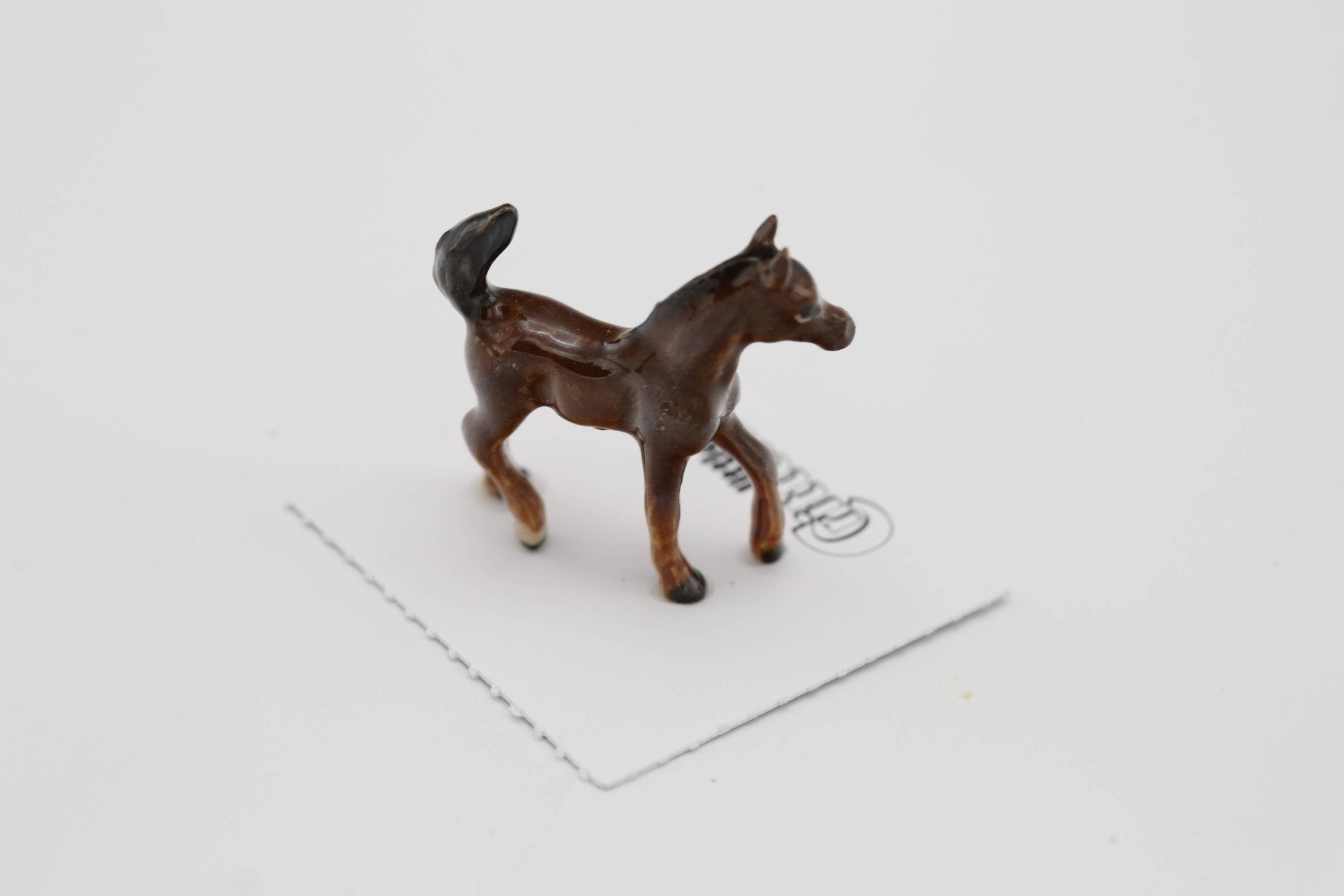 Asil Arabian Colt Porcelain Miniature - Spiral Circle