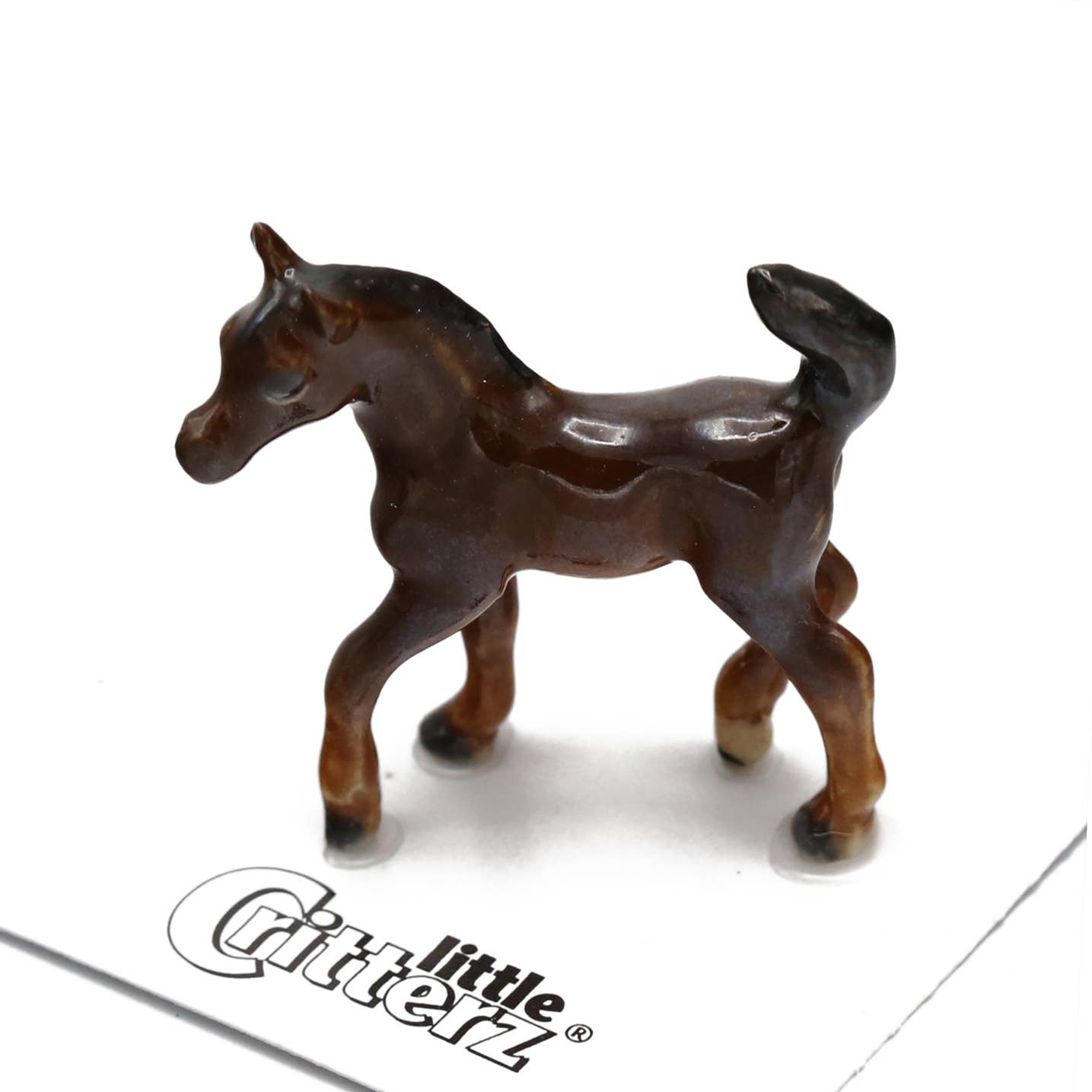 Asil Arabian Colt Porcelain Miniature - Spiral Circle