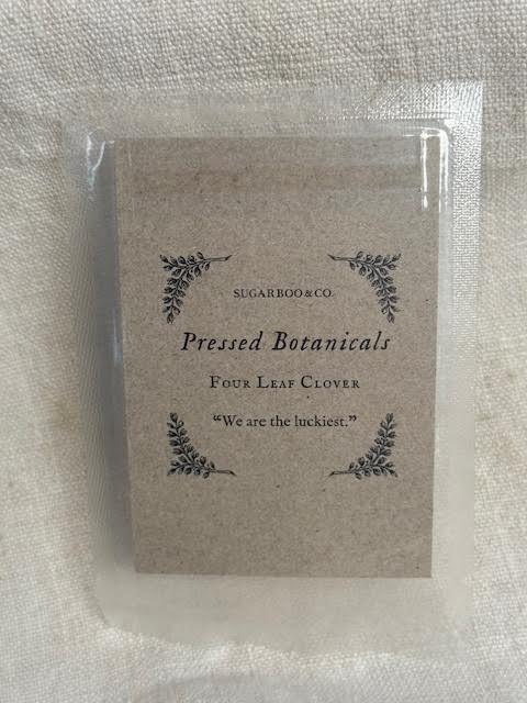 Pressed Four Leaf Clovers | Set of 2