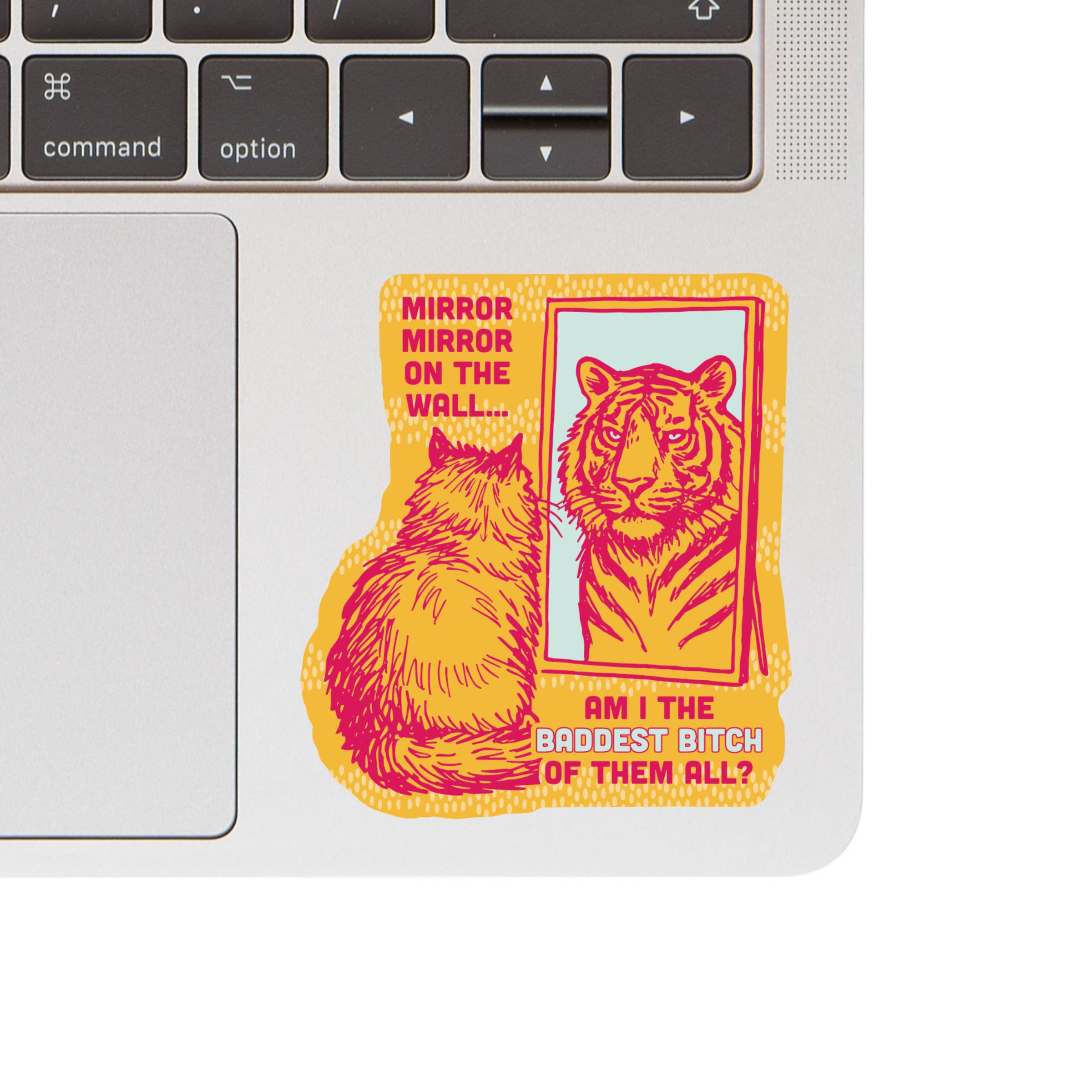 Mirror Mirror Funny Cat Sticker