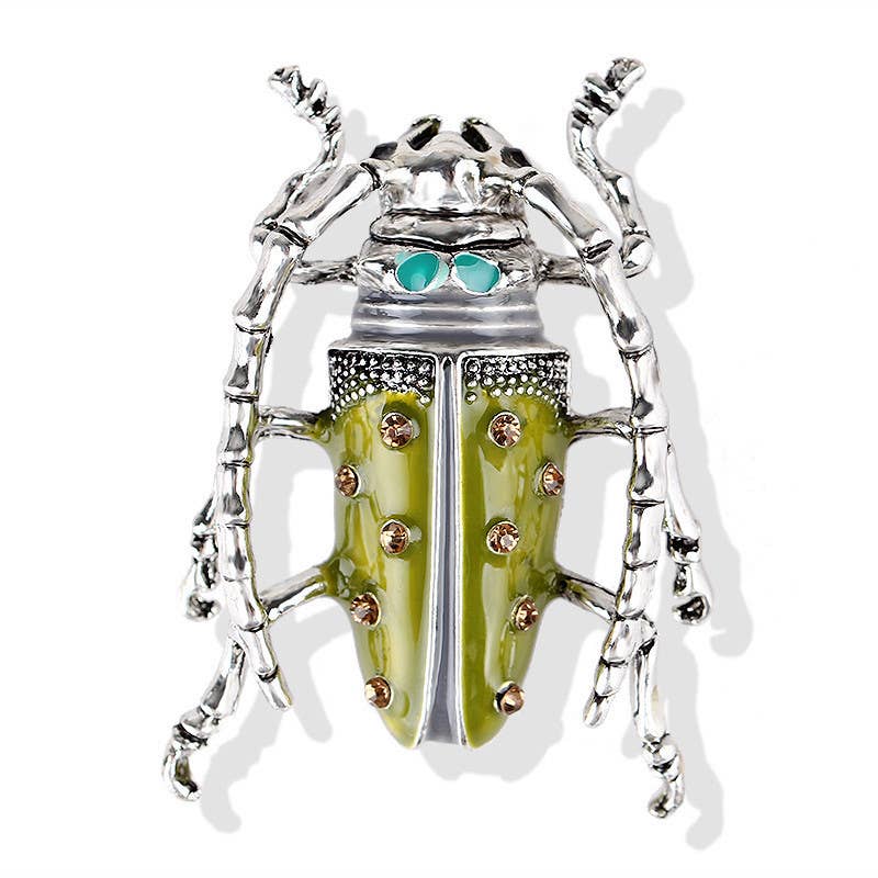 Beetle Brooch - Spiral Circle