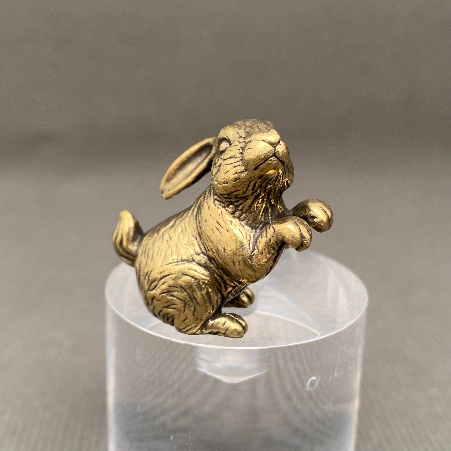 Begging Bunny | Brass Figurine - Spiral Circle