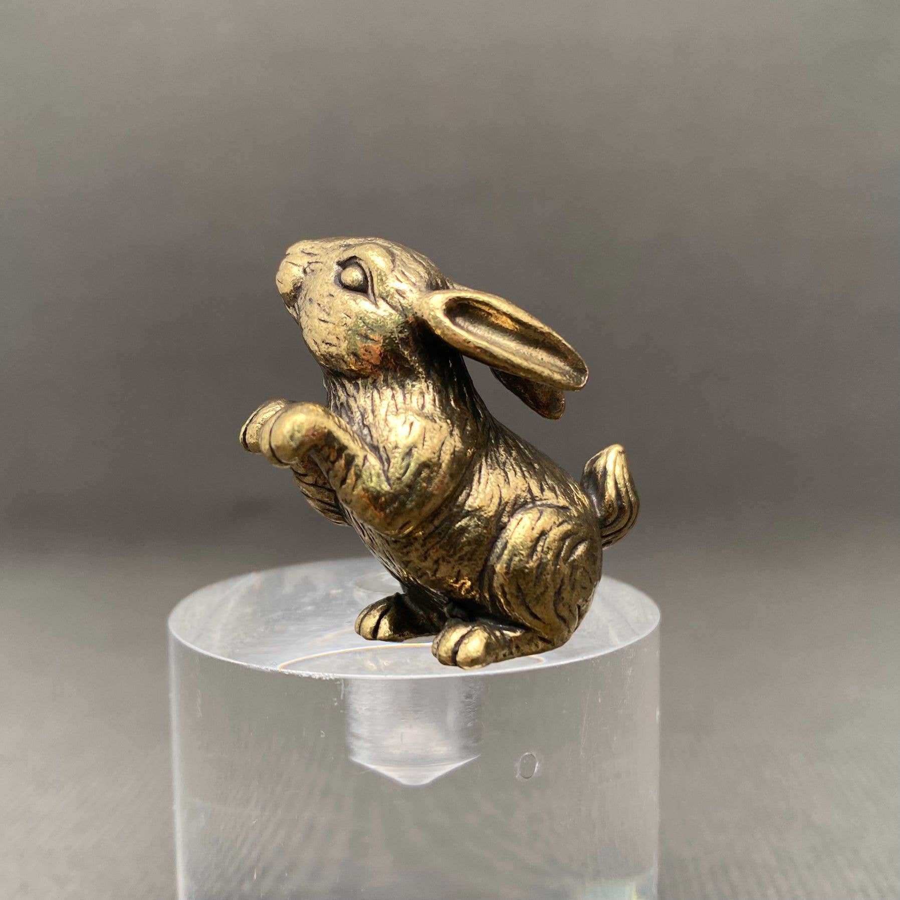 Begging Bunny | Brass Figurine - Spiral Circle