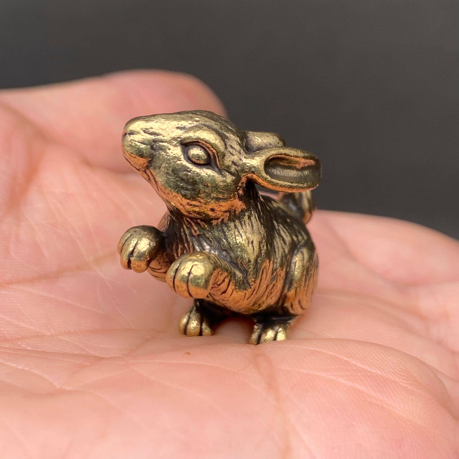 Begging Bunny | Brass Figurine - Spiral Circle