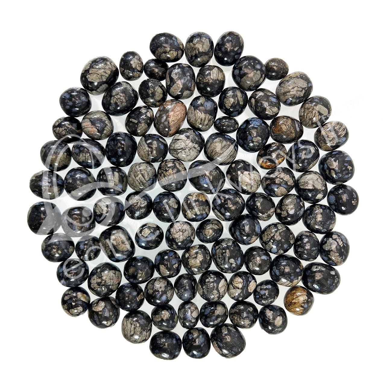 Black Opal | Common | Tumbled - Spiral Circle