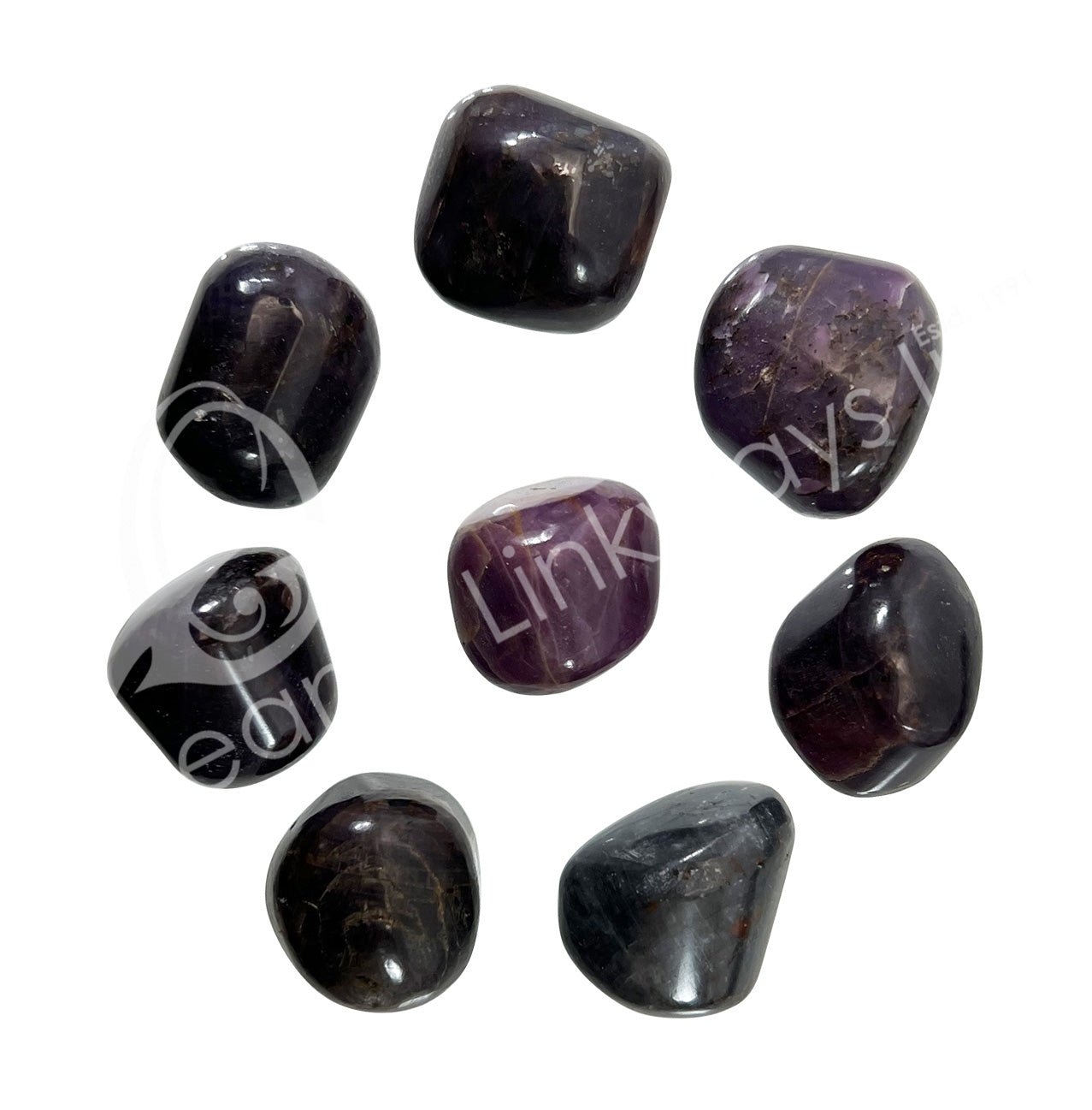 Black Ruby | Tumbled - Spiral Circle