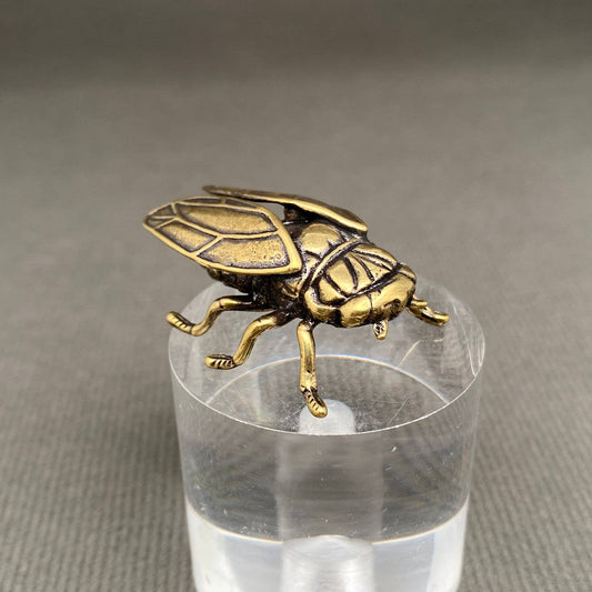Brass Cicada| Brass Figurine - Spiral Circle