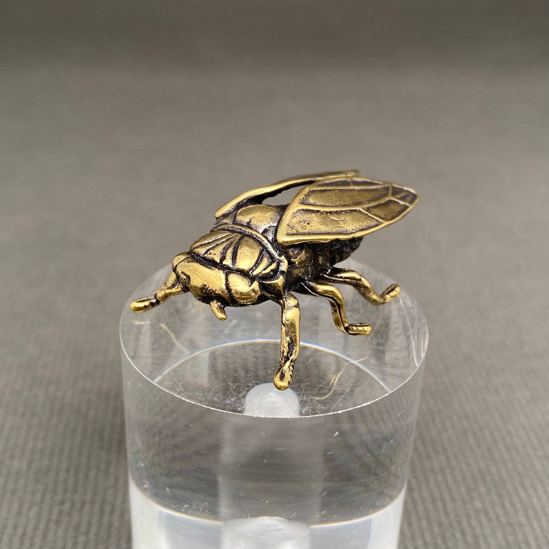 Brass Cicada| Brass Figurine - Spiral Circle