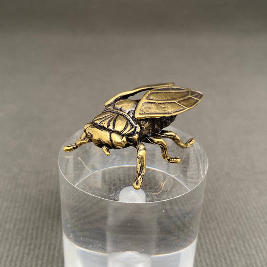 Brass Cicada| Brass Figurine - Spiral Circle