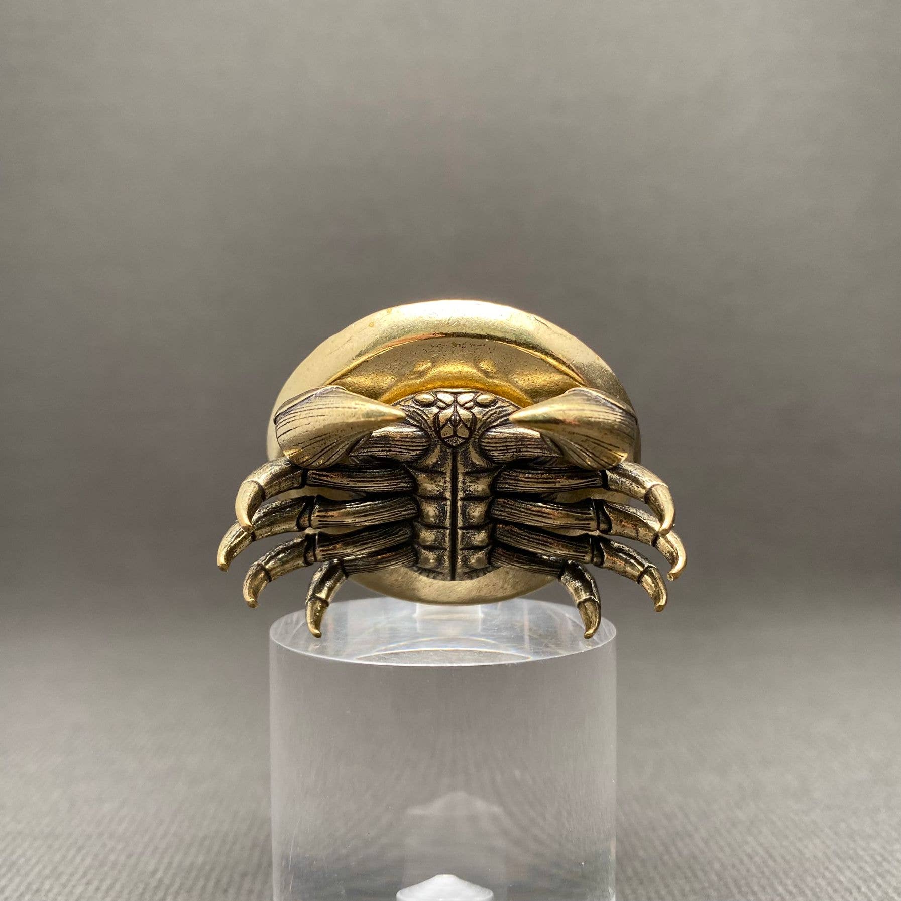 Brass Crab Tray - Spiral Circle
