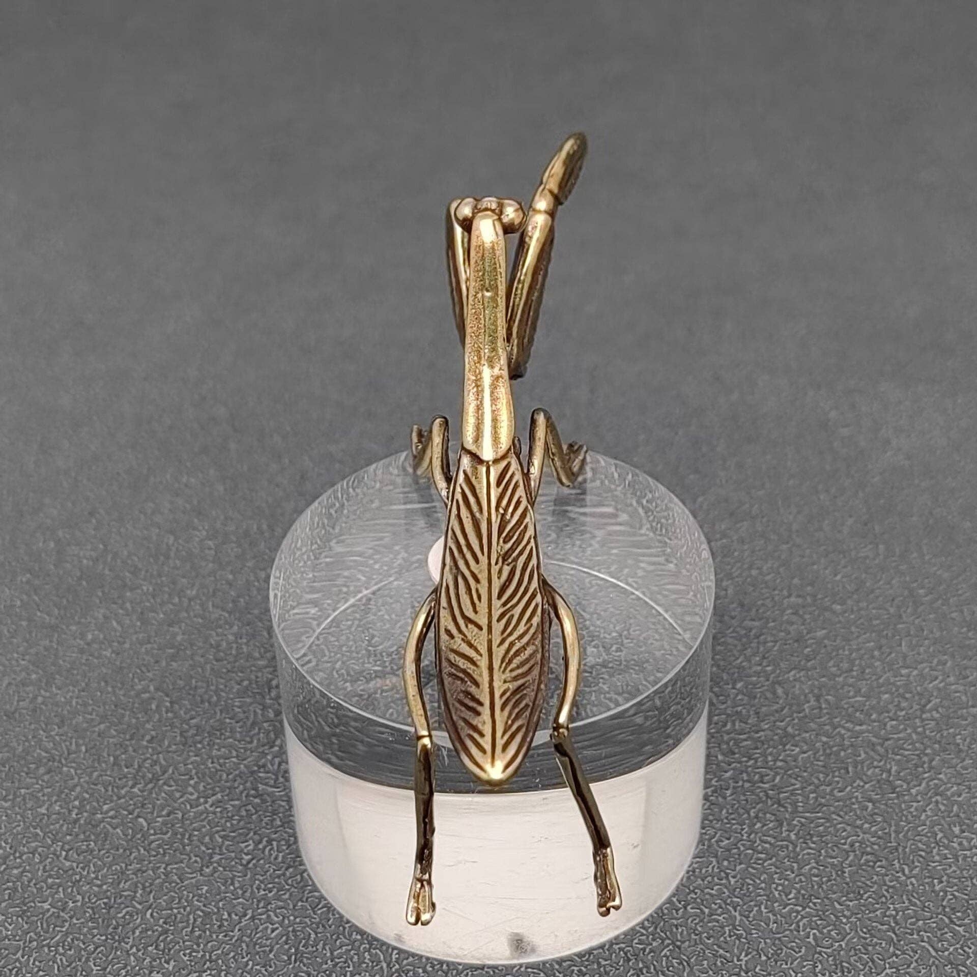 Brass Mantis Desktop Ornaments Decoration - Spiral Circle