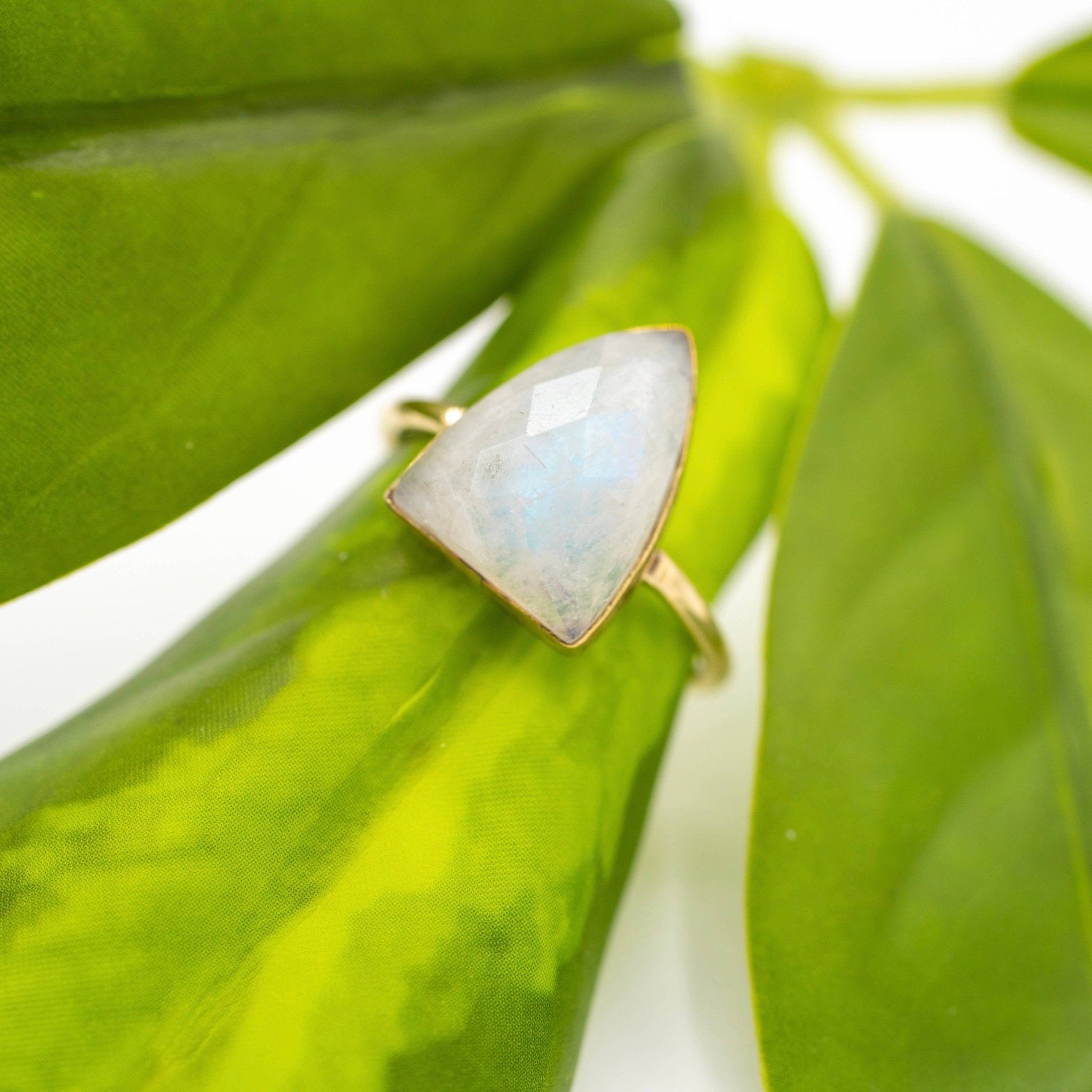 Brass Moonstone Point Ring - Spiral Circle