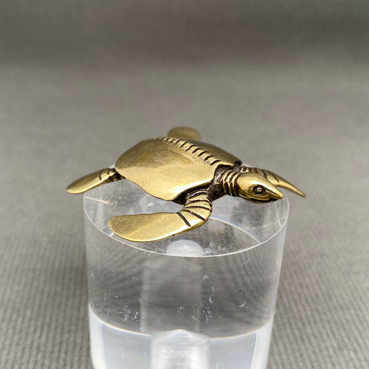 Brass Sea Turtle| Brass Figurine - Spiral Circle