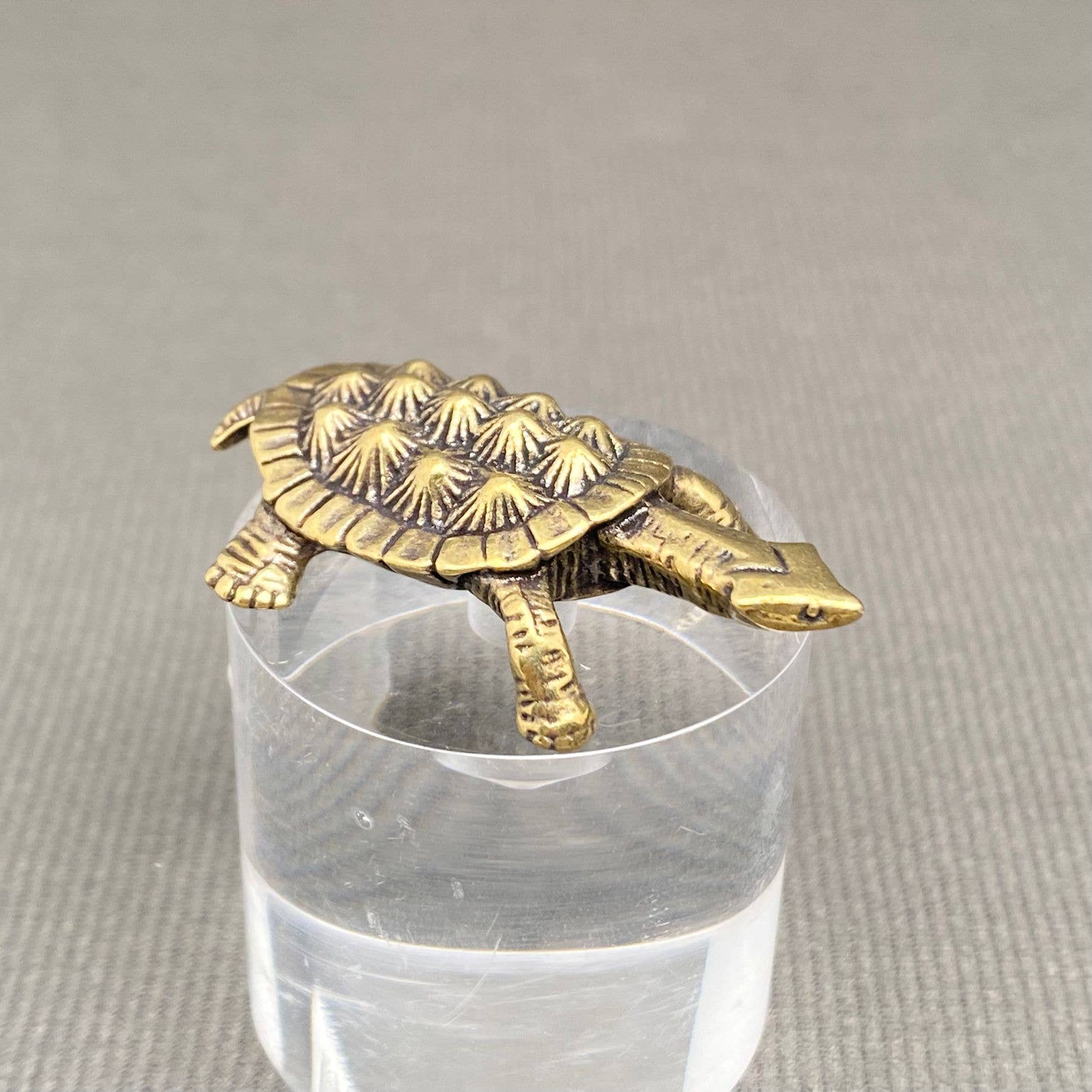 Brass Turtle Desktop Ornaments Decoration - Spiral Circle