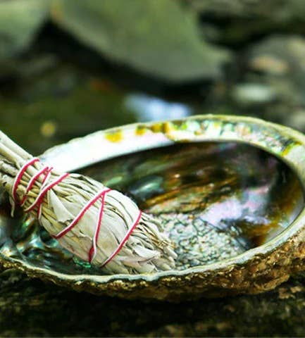 Burner - Abalone shell large 5