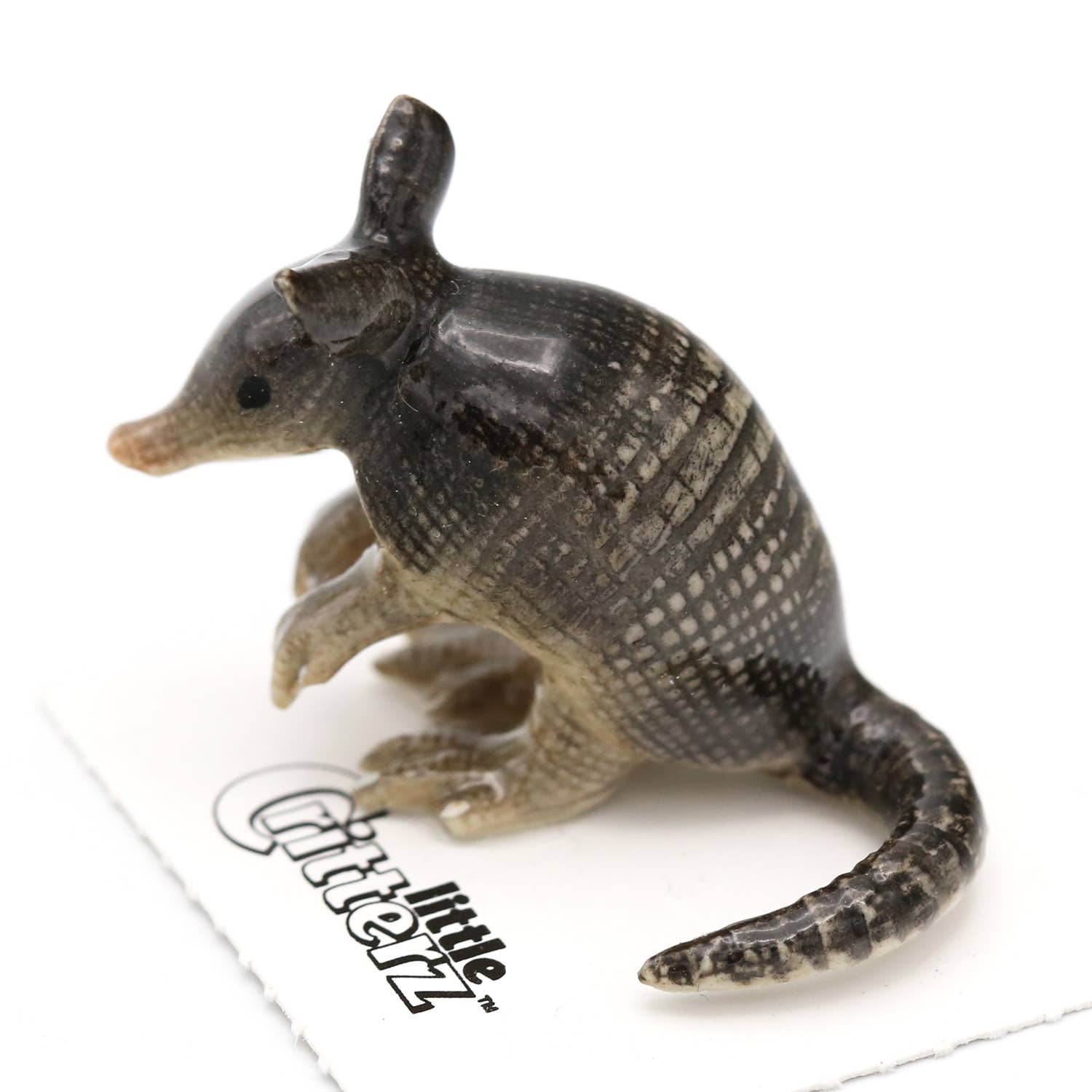 Burrow Armadillo Decorative Figurine in Porcelain Miniature - Spiral Circle