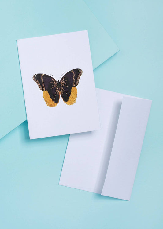 BUTTERFLY GREETING CARD - Spiral Circle