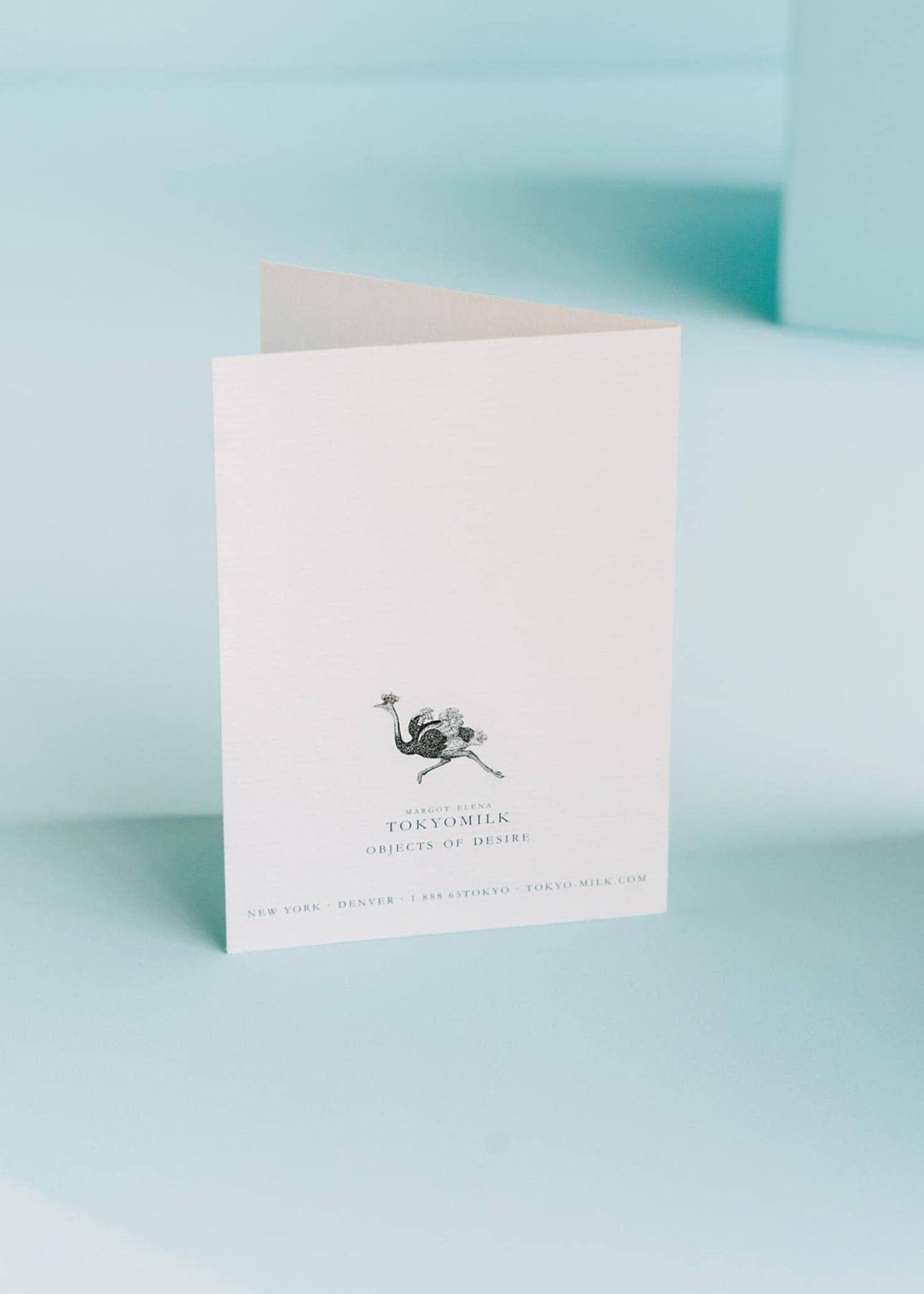 BUTTERFLY GREETING CARD - Spiral Circle